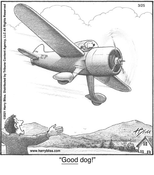 "Good dog!"