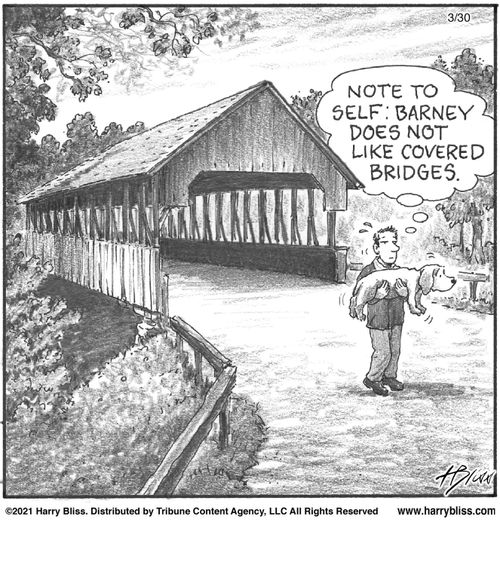 "Note to self: Barney does not like covered bridges."
