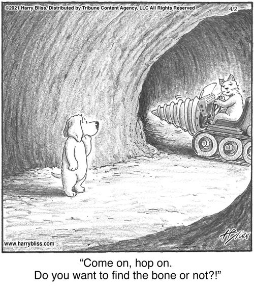 "Come on, hop on. Do you want to find the bone or not?!"