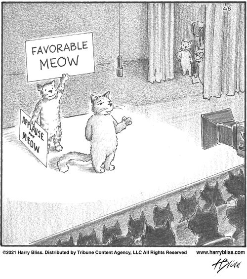 "Favorable meow"
