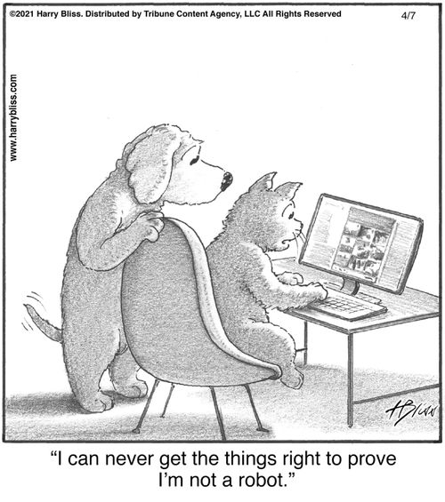 "I can never get the things right to prove I'm not a robot."