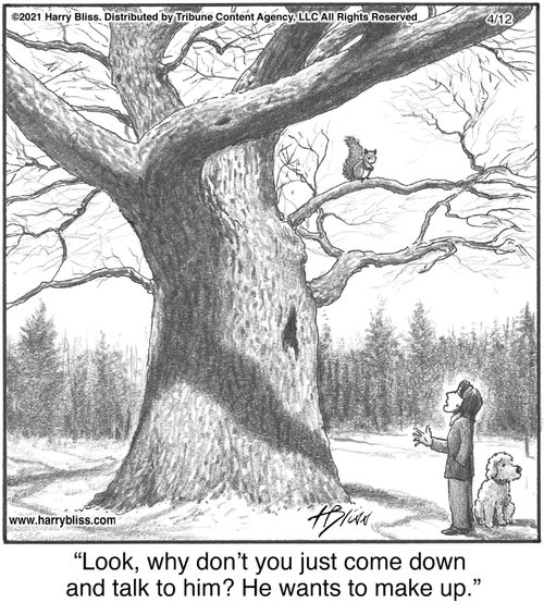 "Look, why don’t you just come down and talk to him? He wants to make up."
