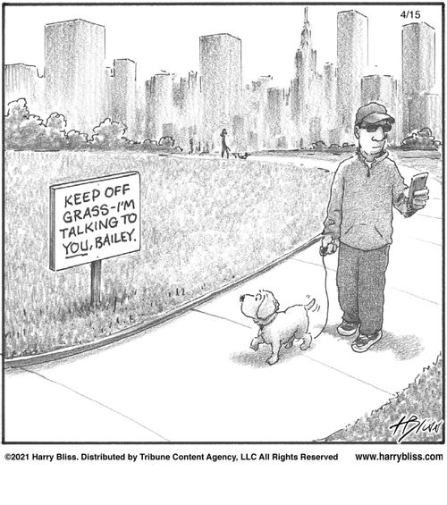 "Keep off grass. I'm talking to you, Bailey."