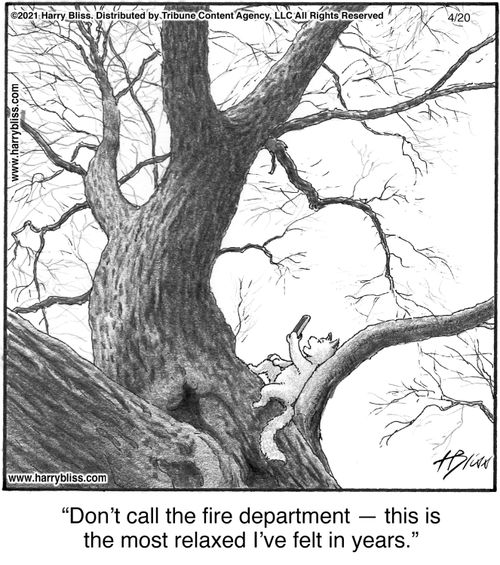 "Don’t call the fire department — this is the most relaxed I’ve felt in years."