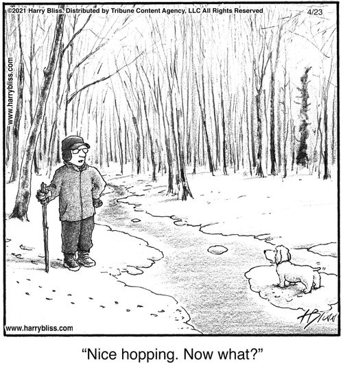 "Nice hopping. Now what?"