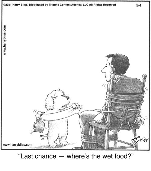 "Last chance — where’s the wet food?"