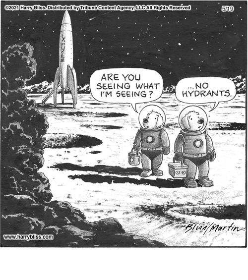 "Are you seeing what I'm seeing?"   "...No hydrants."