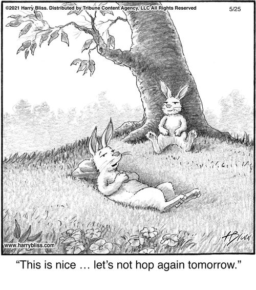 "This is nice … let’s not hop again tomorrow."
