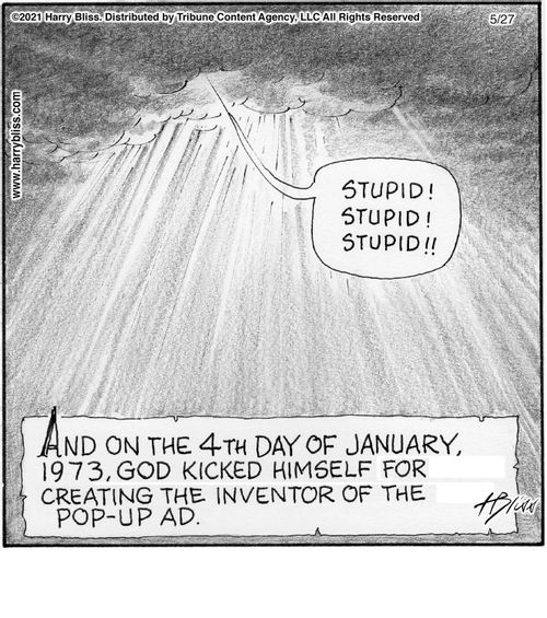 "Stupid! Stupid! Stupid!! And on the 4th day of January, 1973, God kicked himself for creating the inventor of the pop-up ad."