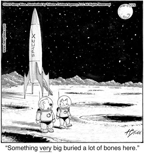 "Something very big buried a lot of bones here."