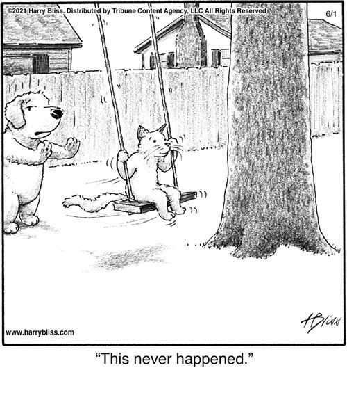 "This never happened."
