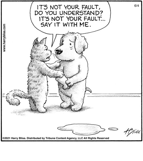 "It's not your fault, do you understand? It's not your fault... say it with me."