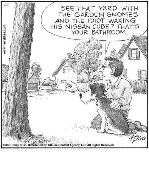 "See that yard with the garden gnomes and the idiot waxing his Nissan Cube? That's your bathroom."