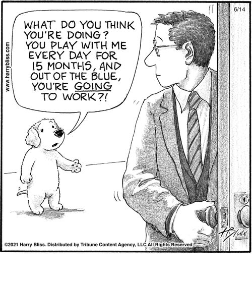 "What do you think you're doing? You play with me every day for 15 months, and out of the blue, you're going to work?!"
