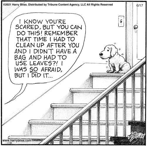 "I know you're scared, but you can do this! Remember that time I had to clean up after you and I didn't have a bag and had to use leaves?! I was so afraid, but I did it…"