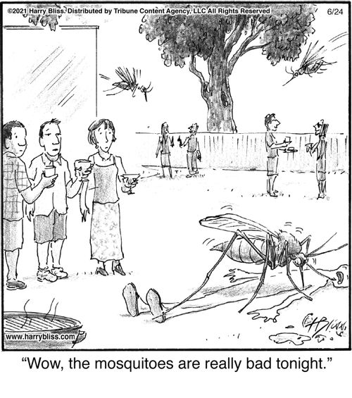 "Wow, the mosquitoes are really bad tonight."