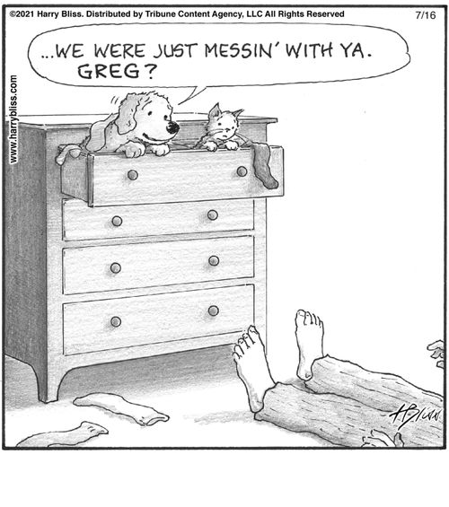 "...We were just messin' with ya. Greg?"