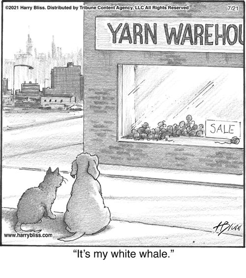 "It's my white whale."