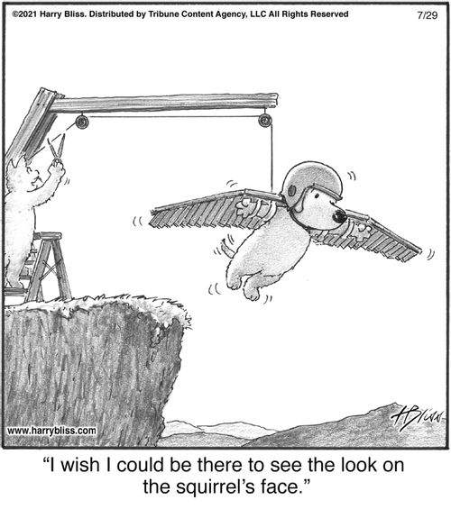 "I wish I could be there to see the look on the squirrel’s face."