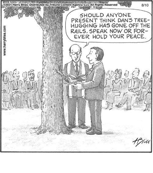 "Should anyone present think Dan’s tree-hugging has gone off the rails, speak now or forever hold your peace."
