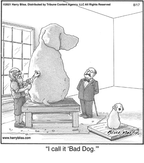 "I call it 'Bad Dog.'"