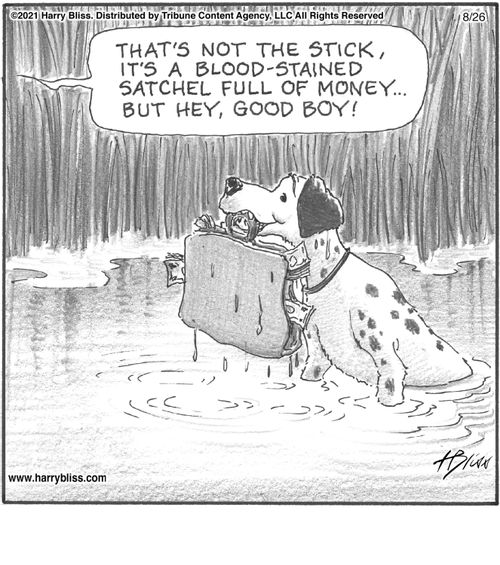 "That's not the stick, it's a blood-stained satchel full of money... but hey, good boy!"
