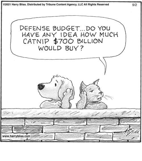 "Defense budget... Do you have any idea how much catnip $700 billion would buy?"