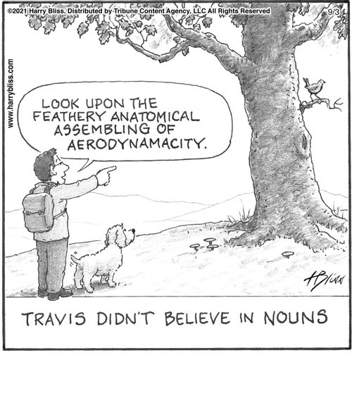"Travis didn't believe in nouns."