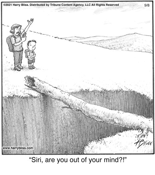 "Siri, are you out of your mind?!"