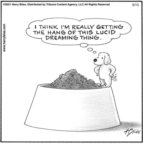 "I think I'm really getting the hang of this lucid dreaming thing."