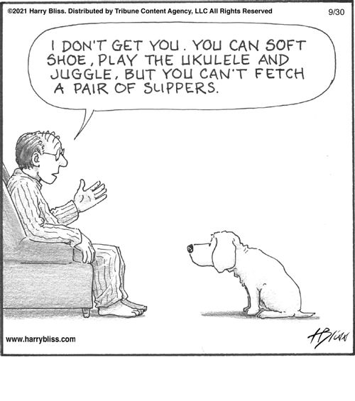 "I don't get you. You can soft shoe, play the ukulele and juggle, but you can't fetch a pair of slippers."