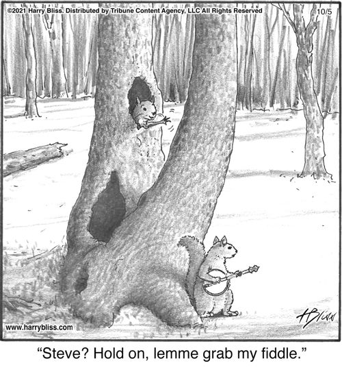 "Steve? Hold on, lemme grab my fiddle."