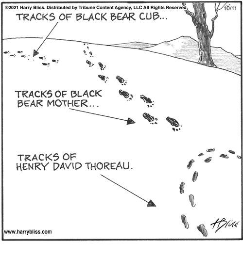 "Tracks of black bear cub... Tracks of black bear mother... Tracks of Henry David Thoreau."