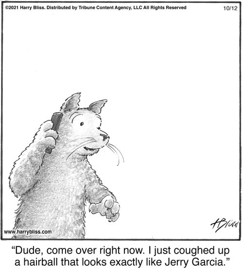 "Dude, come over right now. I just coughed up a hairball that looks exactly like Jerry Garcia."