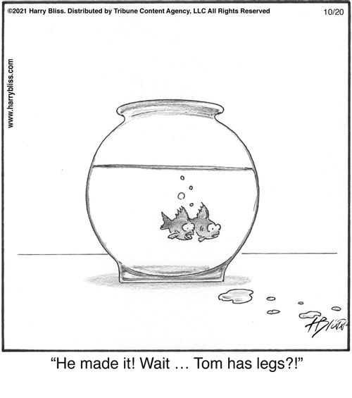 "He made it! Wait ... Tom has legs?!"