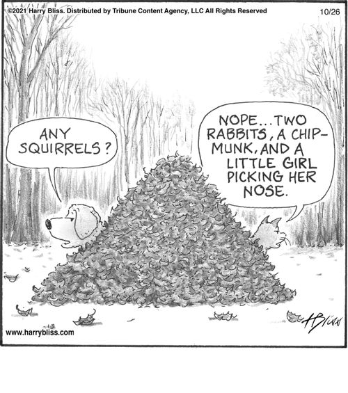 "Any squirrels?"  "Nope... two rabbits, a chipmunk, and a little girl picking her nose."