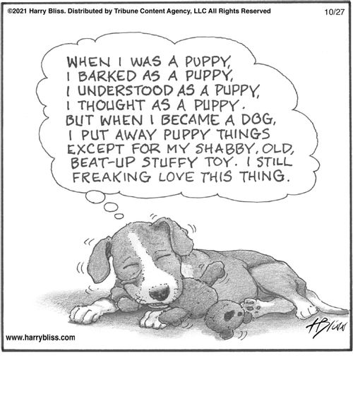 "When I was a puppy, I barked as a puppy, I understood as a puppy, I thought as a puppy. But when I became a dog, I put away puppy things except for my shabby, old, beat-up stuffy toy. I still freaking love this thing."