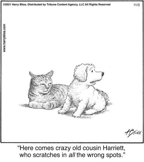 "Here comes crazy old cousin Harriett, who scratches in all the wrong spots."