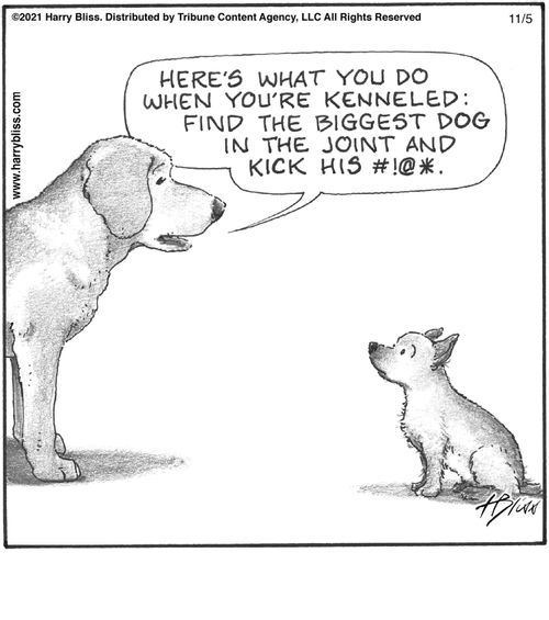 "Here's what you do when you're kenneled: find the biggest dog in the joint and kick his #!@*."