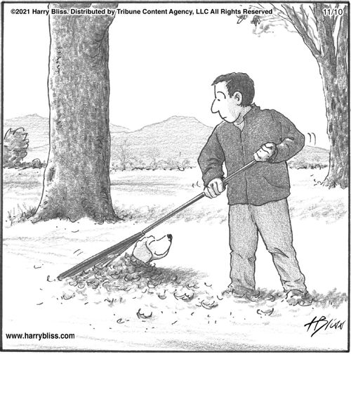 "That's one hole filled, only about three or four more to go."
