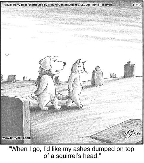 "When I go, I’d like my ashes dumped on top of a squirrel’s head."