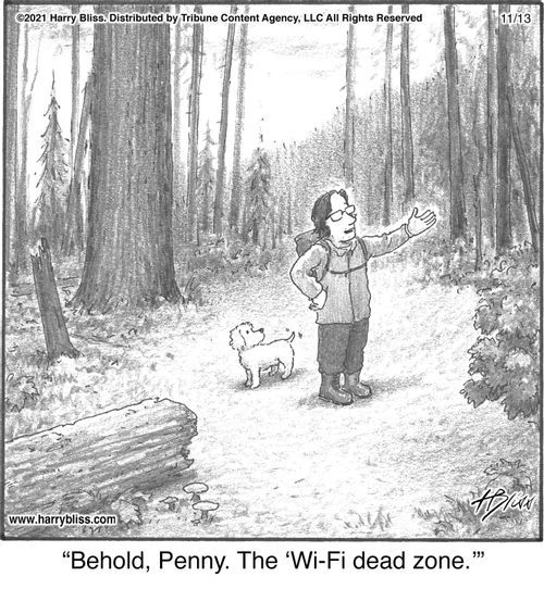 "Behold, Penny. The 'Wi-Fi dead zone.'"