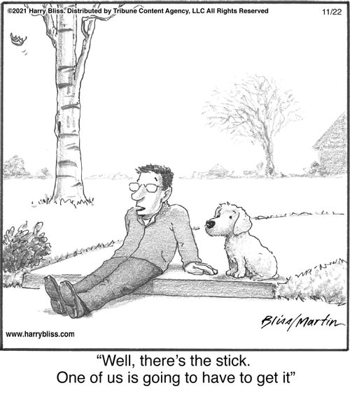 "Well, there's the stick. One of us is going to have to get it."