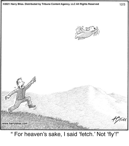 "For heaven’s sake, I said ‘fetch.’ Not ‘fly’!"