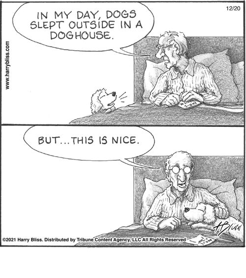 "In my day, dogs slept outside in a doghouse."  "But... this is nice."
