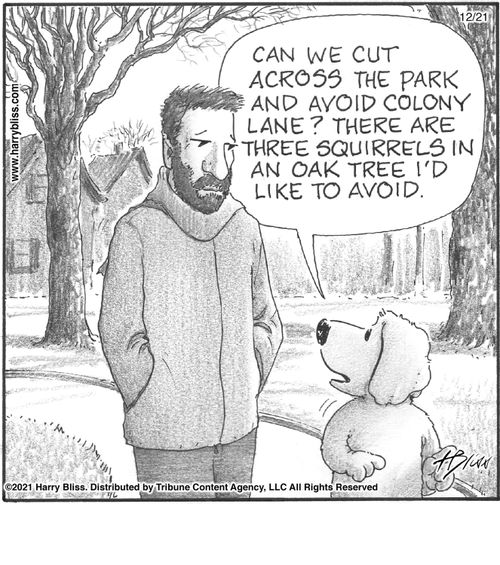 "Can we cut across the park and avoid Colony Lane? There are three squirrels in an oak tree I’d like to avoid."