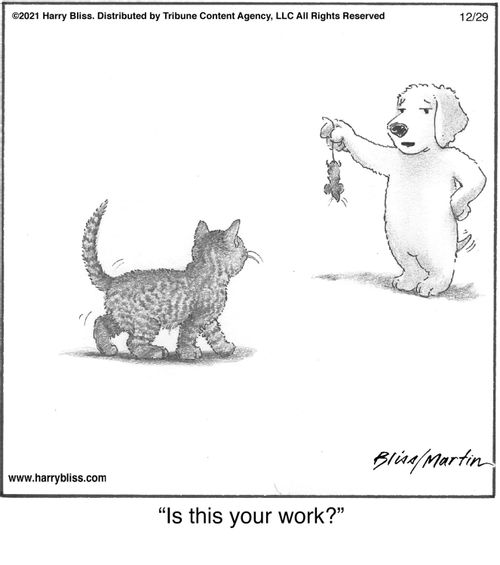"Is this your work?"