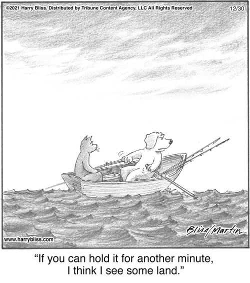 "If you can hold it for another minute, I think I see some land."