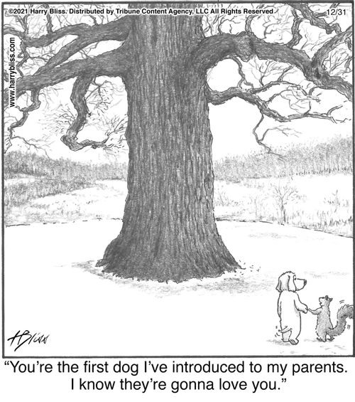 "You're the first dog I've introduced to my parents. I know they're gonna love you."