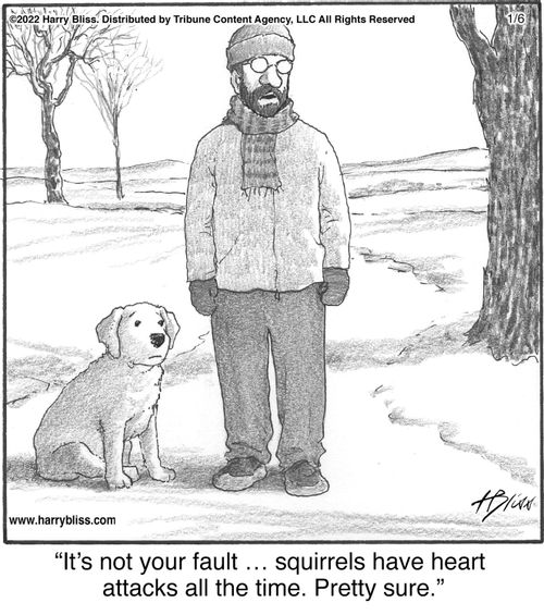 "It's not your fault ... squirrels have heart attacks all the time. Pretty sure."